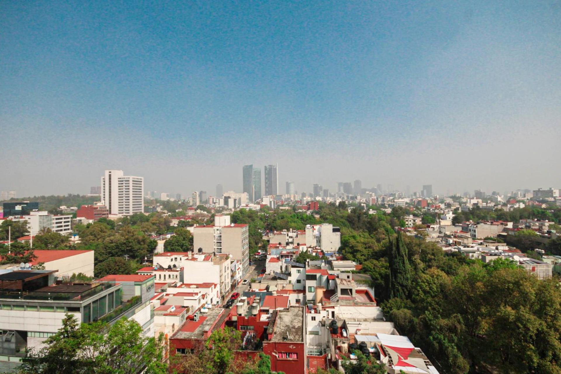 Lujoso Y Comodo Departamento En La Mejor Zona De Condesa